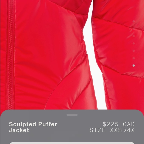 Sculpted Puffer Jacket - Red - Picture 5 of 6